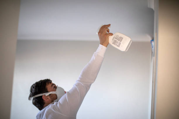 Professional Mold Removal in Hillsborough, CA