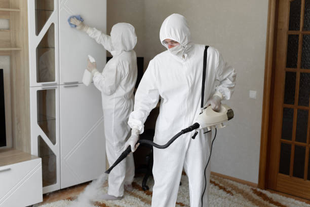 Best Mold Cleaning Services  in Hillsborough, CA