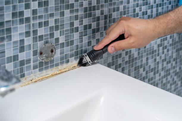Best Mold Removal Specialists  in Hillsborough, CA
