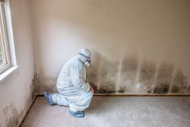 Water Damage Restoration in Hillsborough, CA